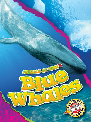 cover image of Blue Whales